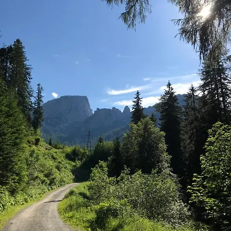 Apartamento Sonnleitn 29