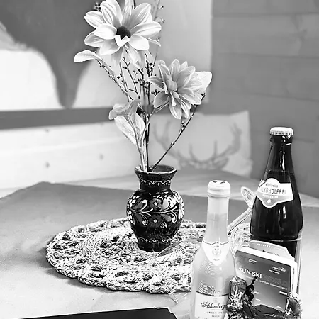 Sonnleitn 29 Апартаменты Зонненальпе-Насфельд