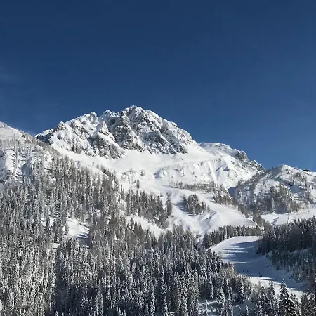 Sonnleitn 29 Апартаменты Зонненальпе-Насфельд