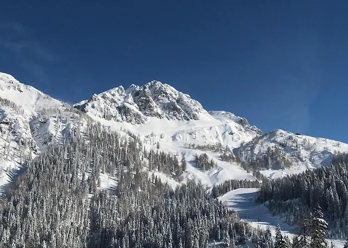 Sonnleitn 29 Apartmán Sonnenalpe Nassfeld